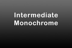 Intermediate-Monochrome