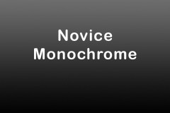 Novice-Monochrome