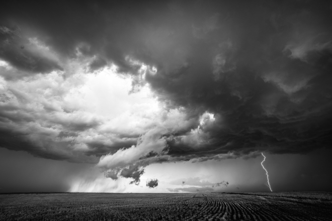 Adv-Mono_HM_Debra-Mastronardi_Field-Of-Ligthening
