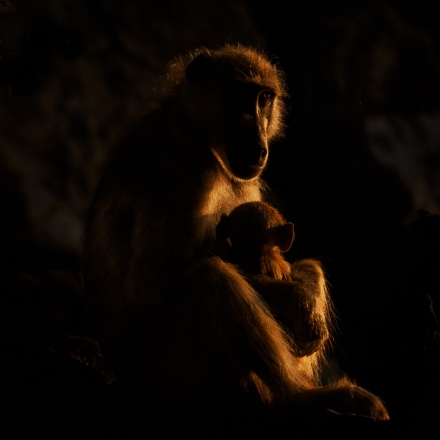 Int Color_1st_David Kravitz_Mothers Love