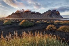 Adv Colr_1st_Judy Graham_Dune Grasses Glow