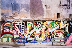 Adv Colr_HM_Art Rose_Big Dreams