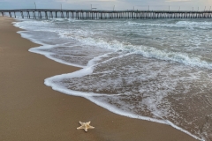 Adv Colr_HM_Kieu-hanh Vu_Lone Starfish