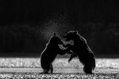 Adv Mono_3rd_Eva Lanyi_Making A Splash