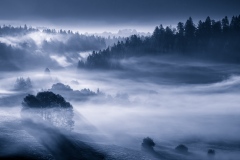 Int Mono_2nd_David Miller_Mist Stirred By The Morning Sun