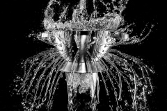 Int Mono_HM_Walter Coady_Steel Flower