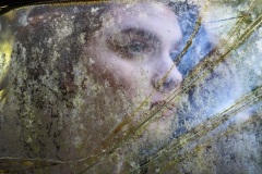 Prints_Adv Color_1st_Wayne Guenther_Through A Glass Darkly