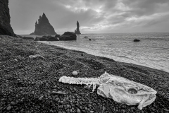 Prints_Adv Mono_3rd_John Olsen_Black Sand Beach, A Geological Wonder