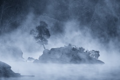 Prints_Int_1st_David Miller_Ducks Cloaked in Mist