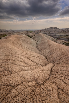 Adv-Color_HM_Judy-Graham_Wandering-Man