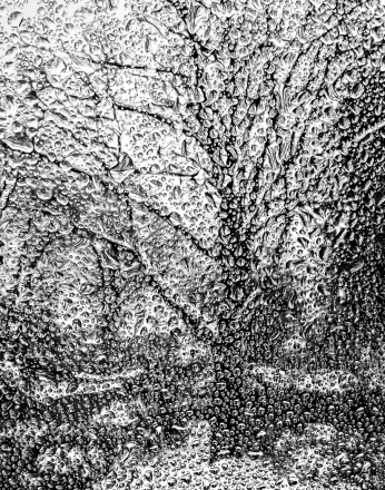 M_A_Philip Winters_Through A Glass Wetly