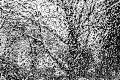 M_A_Philip Winters_Through A Glass Wetly