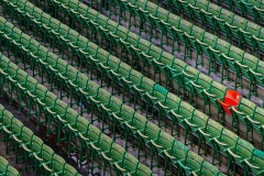 Int Colr_1st_Anita Feidler_The Lone Red Seat