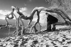 Nov-Mono_1st_Patricia-Corey_A-Desert-Chair