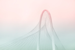 Adv Colr_1st_Catherine Wang_The Bridge