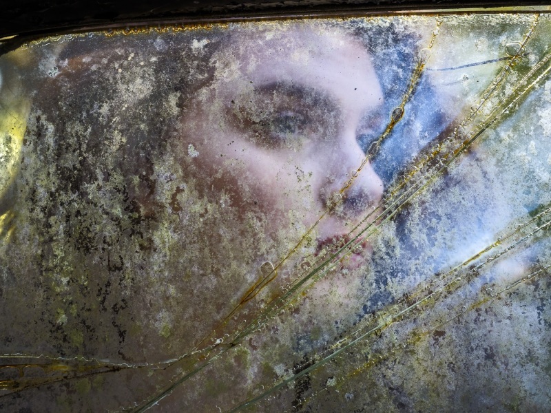 Prints_Adv Color_1st_Wayne Guenther_Through A Glass Darkly