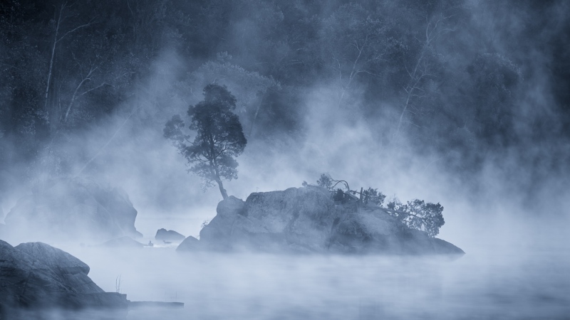 Prints_Int_1st_David Miller_Ducks Cloaked in Mist