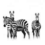 How Many Zebras by Bob Friedman