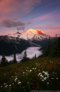 Sunrise over Mount Rainier