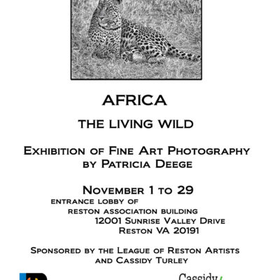 November 1-29, 2013 Africa the Living Wild by Patricia Deege