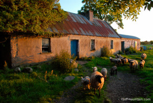 Jeff Mauritzen - Irish Cottage