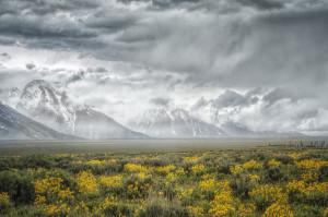 Patricia Deege - Mountains in the Mist