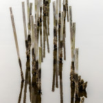 Tami Steiger - Water Sticks