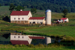 Fauquier County Farm
