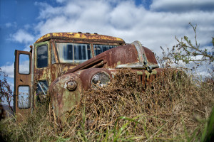 A 1946 Ford School Bus