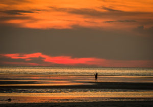 Bill Van Holle – Cape Cod Sunset