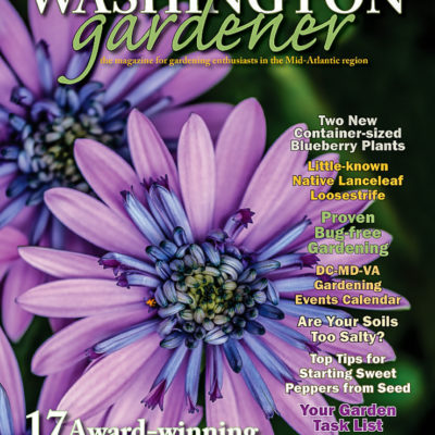 February 2, 2019 – Washington Gardener Magazine Spring Edition Cover by Georgette Grossman