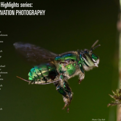 August 3, 2019 – Dee Ellison, NVPS member, is editor of the e-book for NANPA