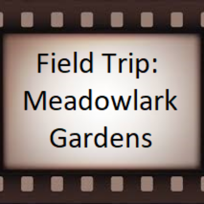 December 12, 2019 – Field Trip to Meadowlark Gardens for Winter Lights