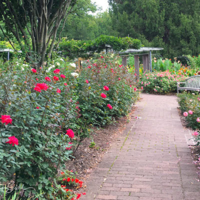 May 15, 2021: Field Trip: Brookside Gardens