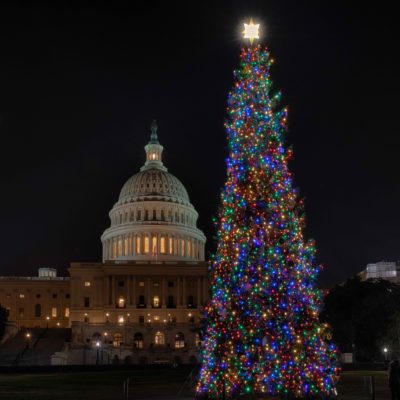 December 12, 2021: Field Trips: Capitol Hill Christmas Tree