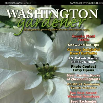Call for Entries – 16th Washington Gardener Magazine Photo Contest: Now –  January 21, 2022