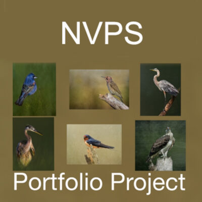 February 13, 2024 – Portfolio Project – (In Person) Interim Review, Group 1