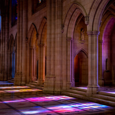 February 22, 2025: Field Trip – Washington DC’s National Cathedral