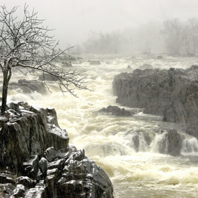 Congratulations to Patricia Deege for 1st Place Award at the Reston Community Center’s Exhibit “A Taste of Winter”