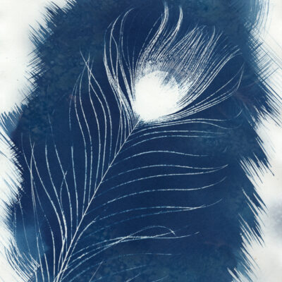September 2, 2025:  (Zoom) Getting Creative with the Cyanotype Alternative Photographic Process with Mary Louise Ravese