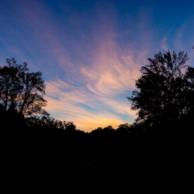 October 26, 2025:  Field Trip – Mason Neck State Park (VA) at Sunrise