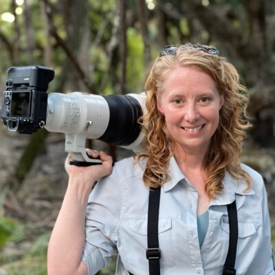 November 4, 2025 – Programs: (Zoom) The Art and Science of Photographing Birds in Flight with Annalise Kaylor